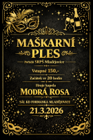 Maškarní ples SRPŠ 1