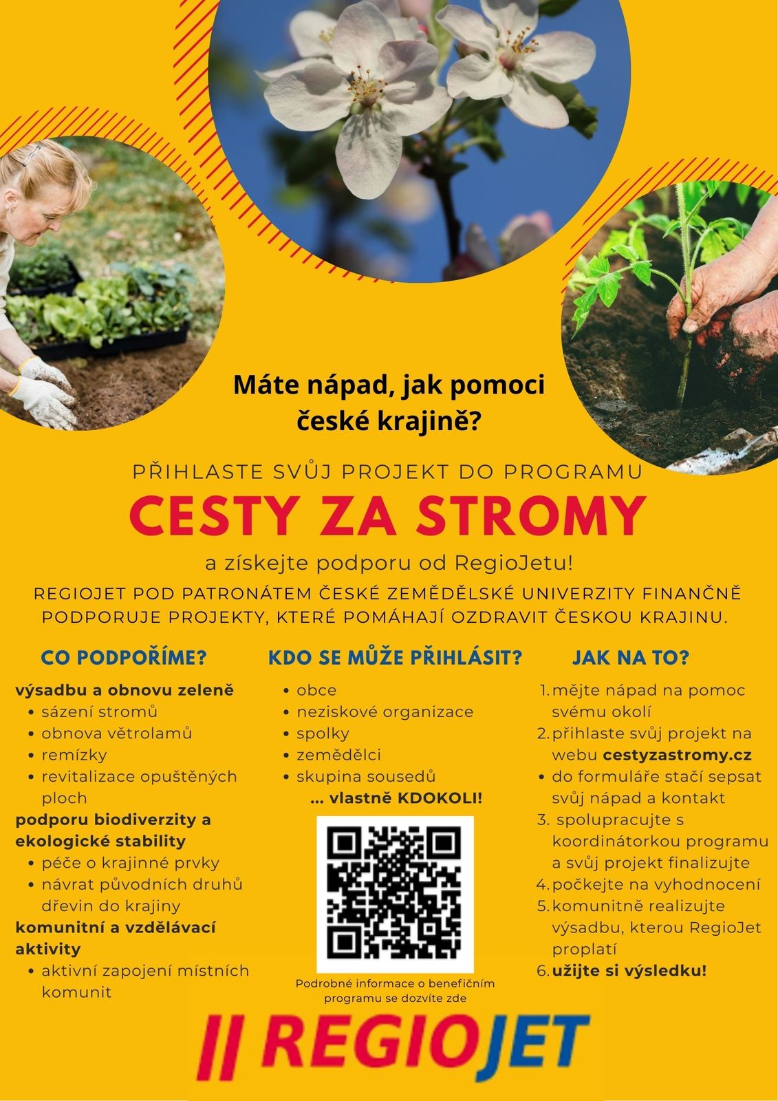 Plakátek Cesty Za Stromy.jpg